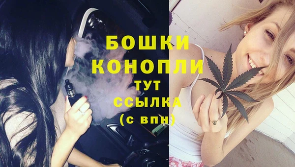 первитин Снежногорск