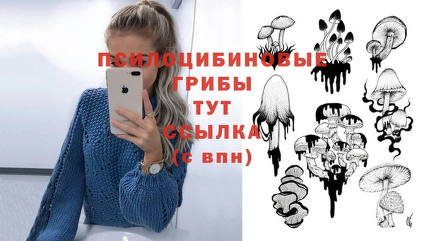 первитин Снежногорск
