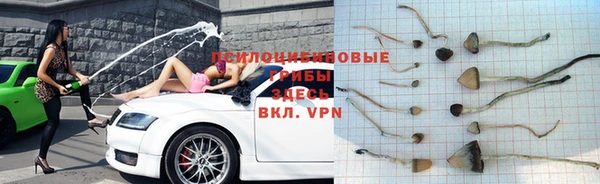 бутират Снежинск
